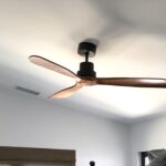 room ceiling fan