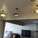 three fish shaped chandeliers